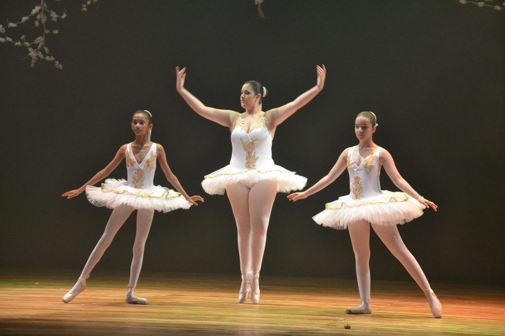 Festival de Ballet – 2017 – A Bela e a Fera – Paulo Pontes