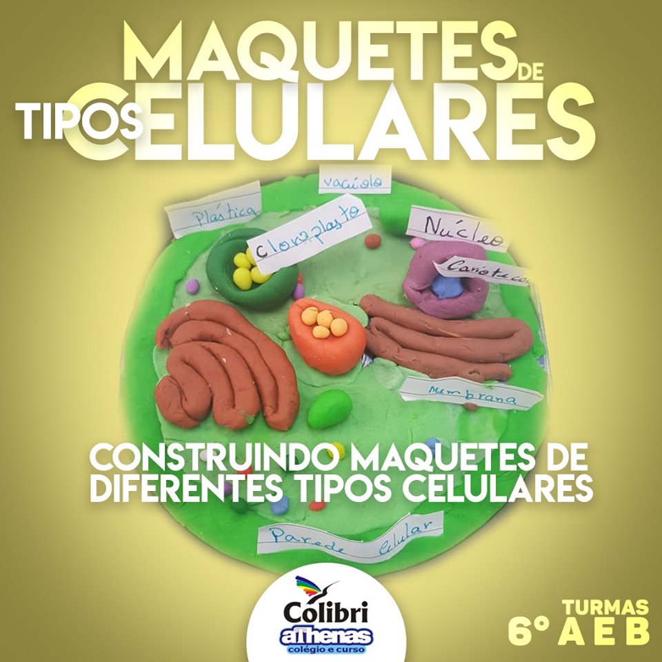 Os “Bio-Arquitetos” do 6º ano