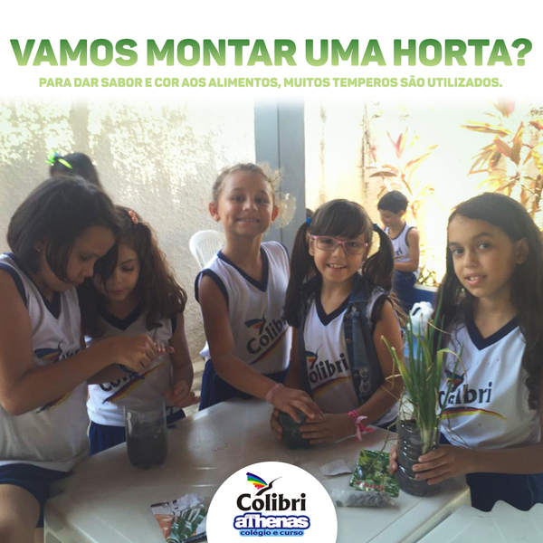 Vamos montar uma horta?