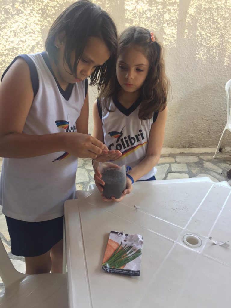 Vamos montar uma horta?