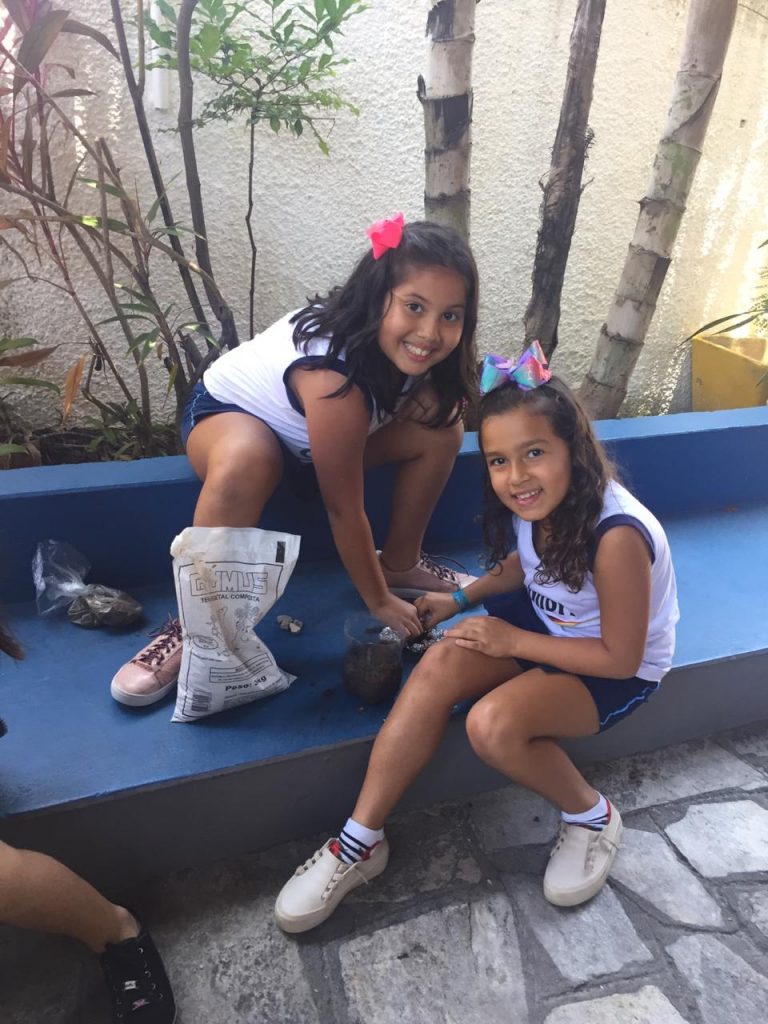 Vamos montar uma horta?