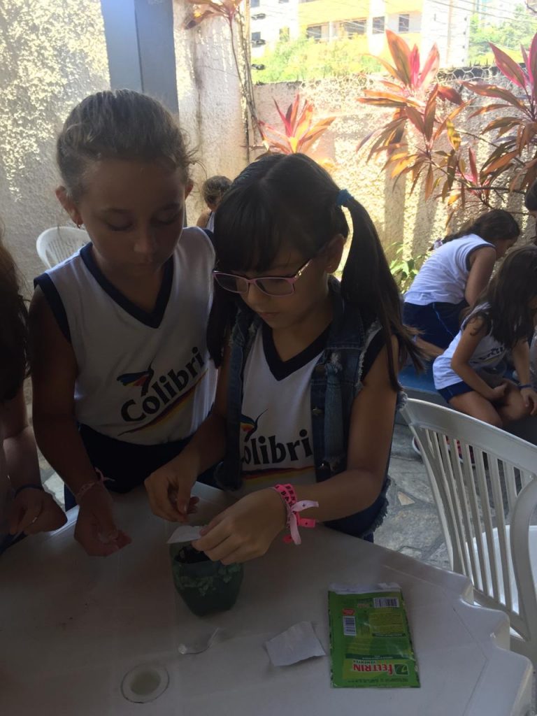 Vamos montar uma horta?