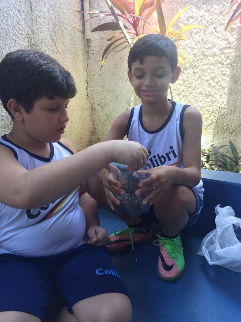 Vamos montar uma horta?