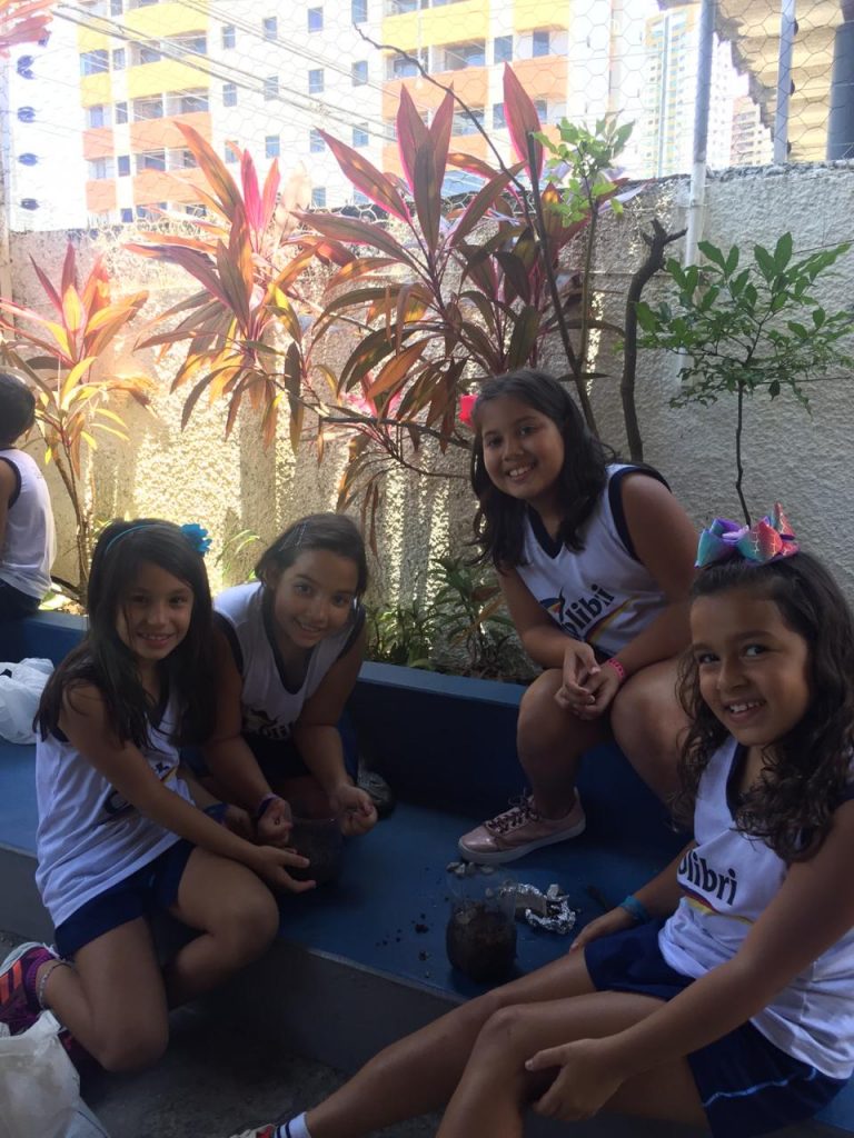 Vamos montar uma horta?