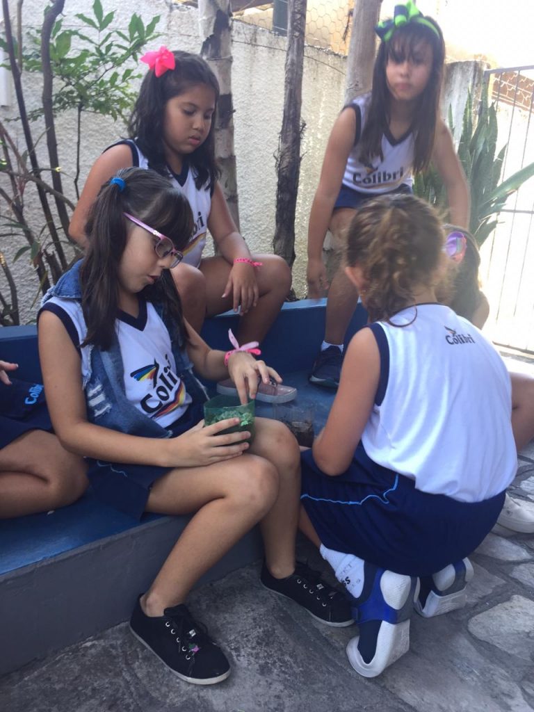 Vamos montar uma horta?