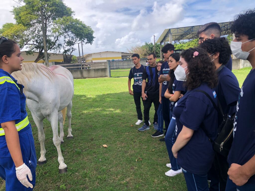 Experience Day – 360°