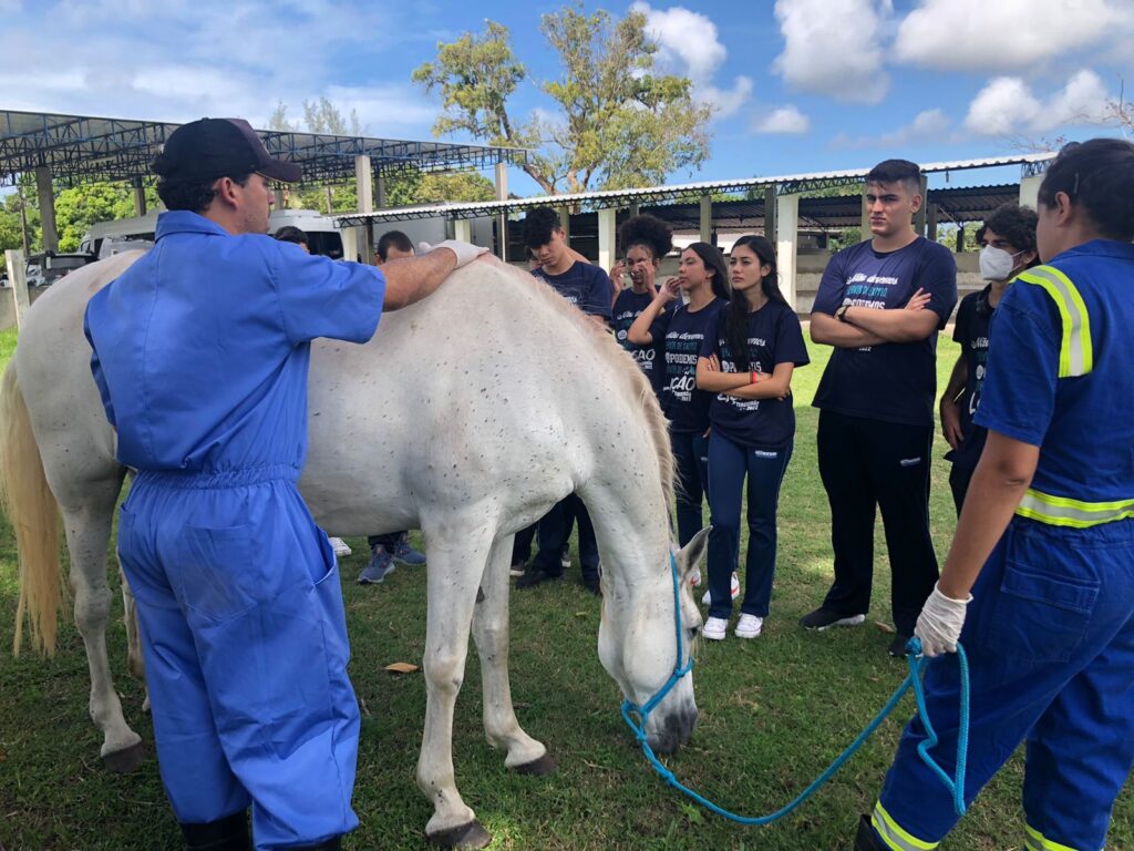 Experience Day – 360°