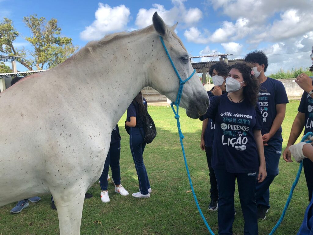 Experience Day – 360°