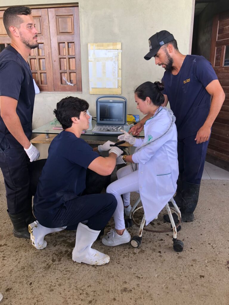 Experience Day – 360°