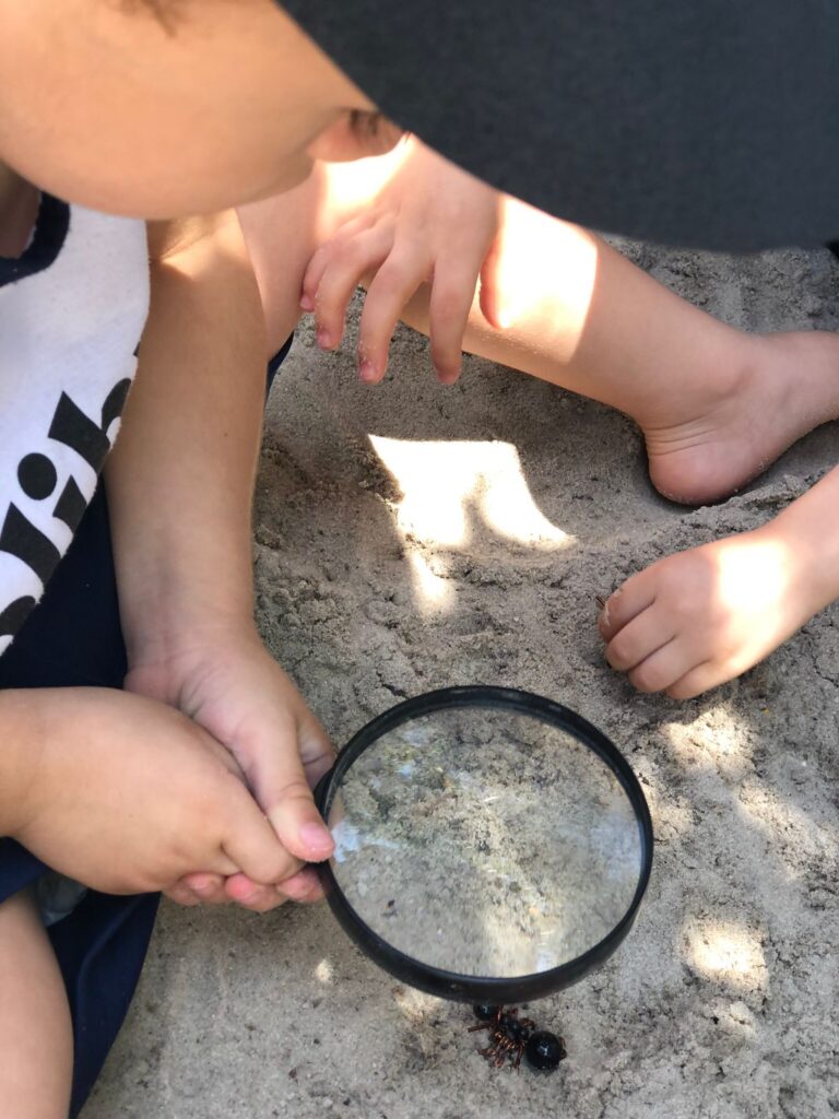 Caçadores de formigas -Infantil 2