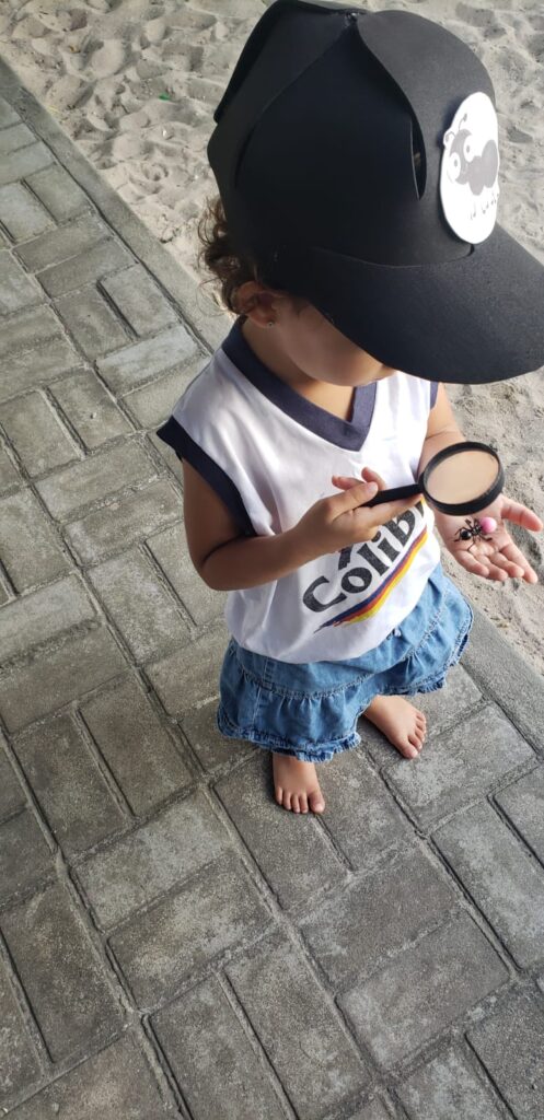 Caçadores de formigas -Infantil 2