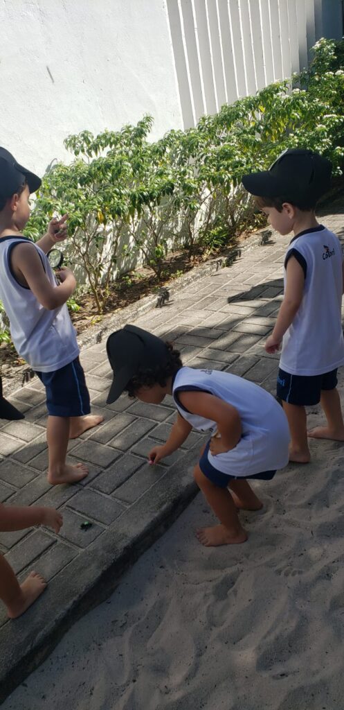 Caçadores de formigas -Infantil 2