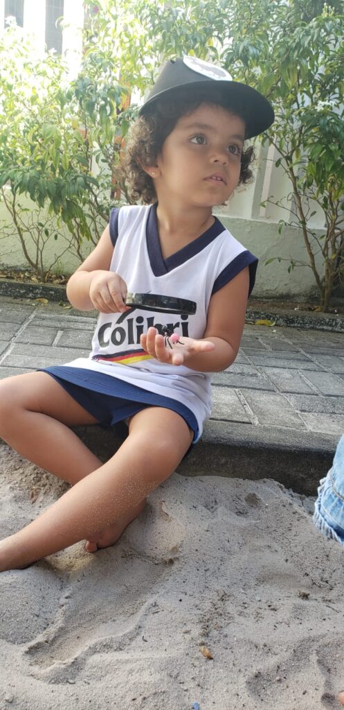 Caçadores de formigas -Infantil 2