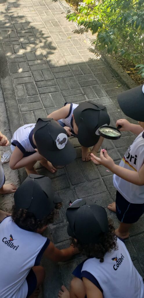 Caçadores de formigas -Infantil 2