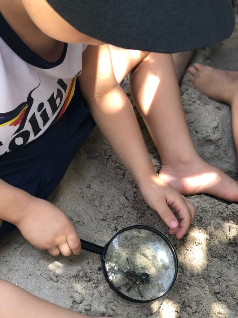 Caçadores de formigas -Infantil 2