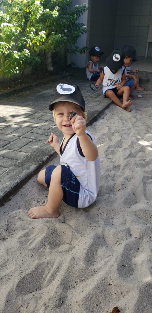 Caçadores de formigas -Infantil 2