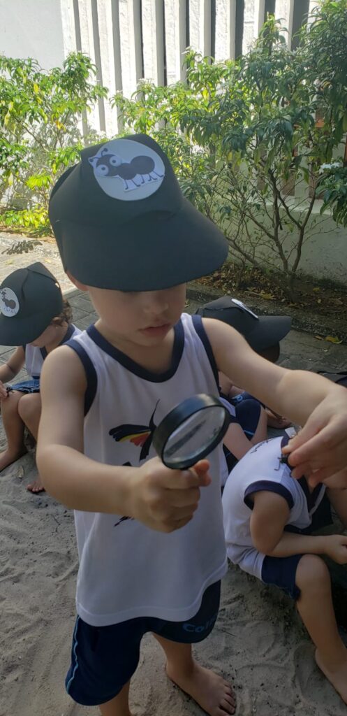 Caçadores de formigas -Infantil 2