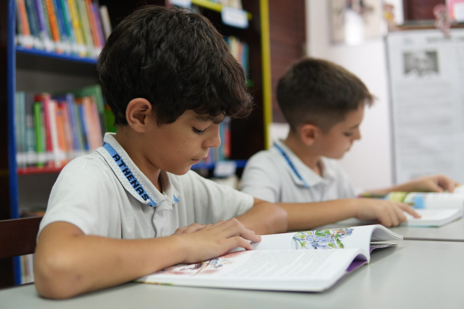 Ensino Fundamental