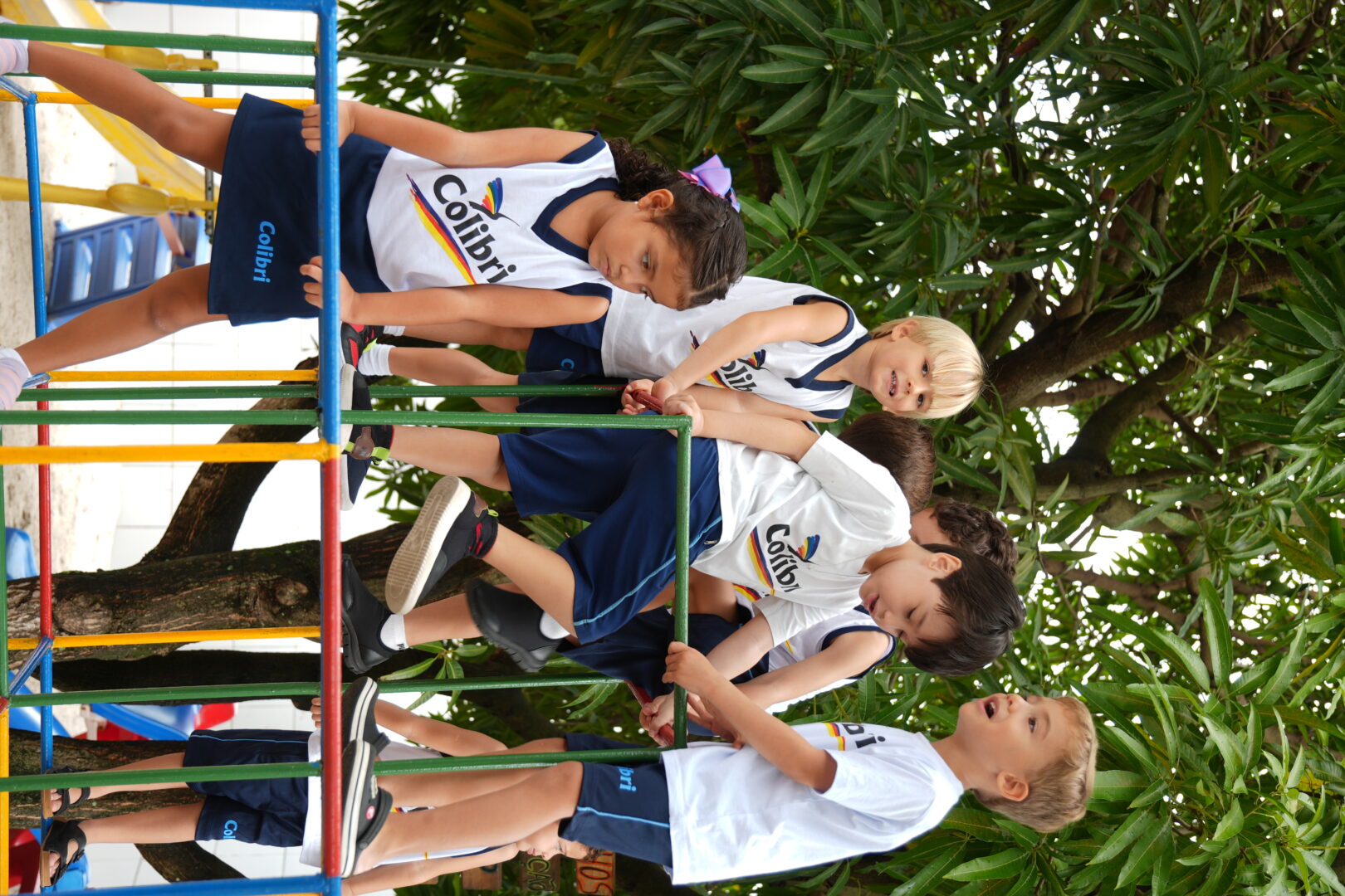 De volta ao Colibri Athenas! ππ