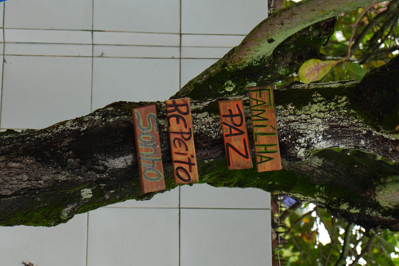 De volta ao Colibri Athenas! ππ